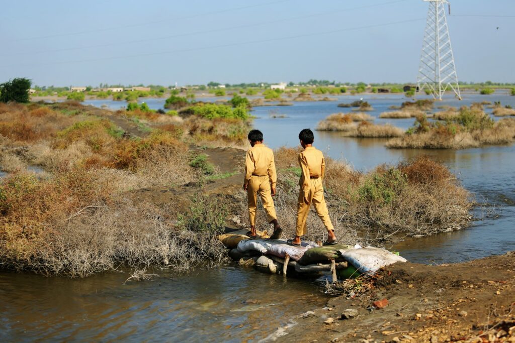 Education in times of Climate Catastrophe