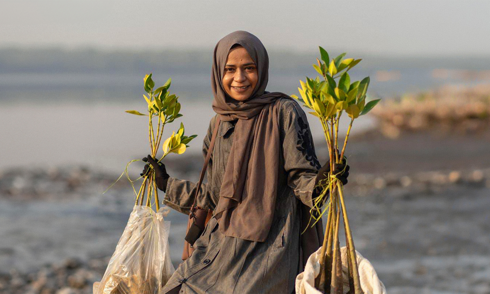 From the Shoreline to Social Change